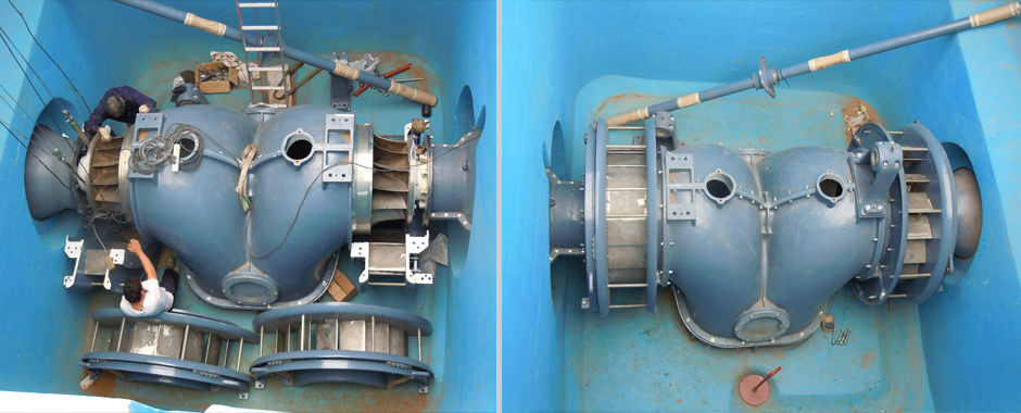 SHP Model